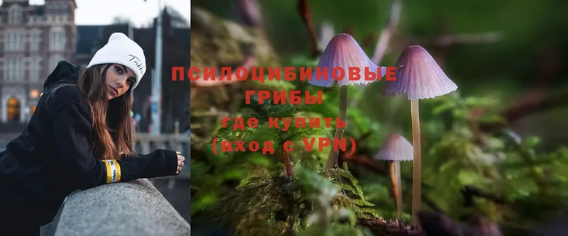 omg ССЫЛКА  Белогорск  Галлюциногенные грибы Psilocybe 